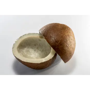 Organic Dried Coconut